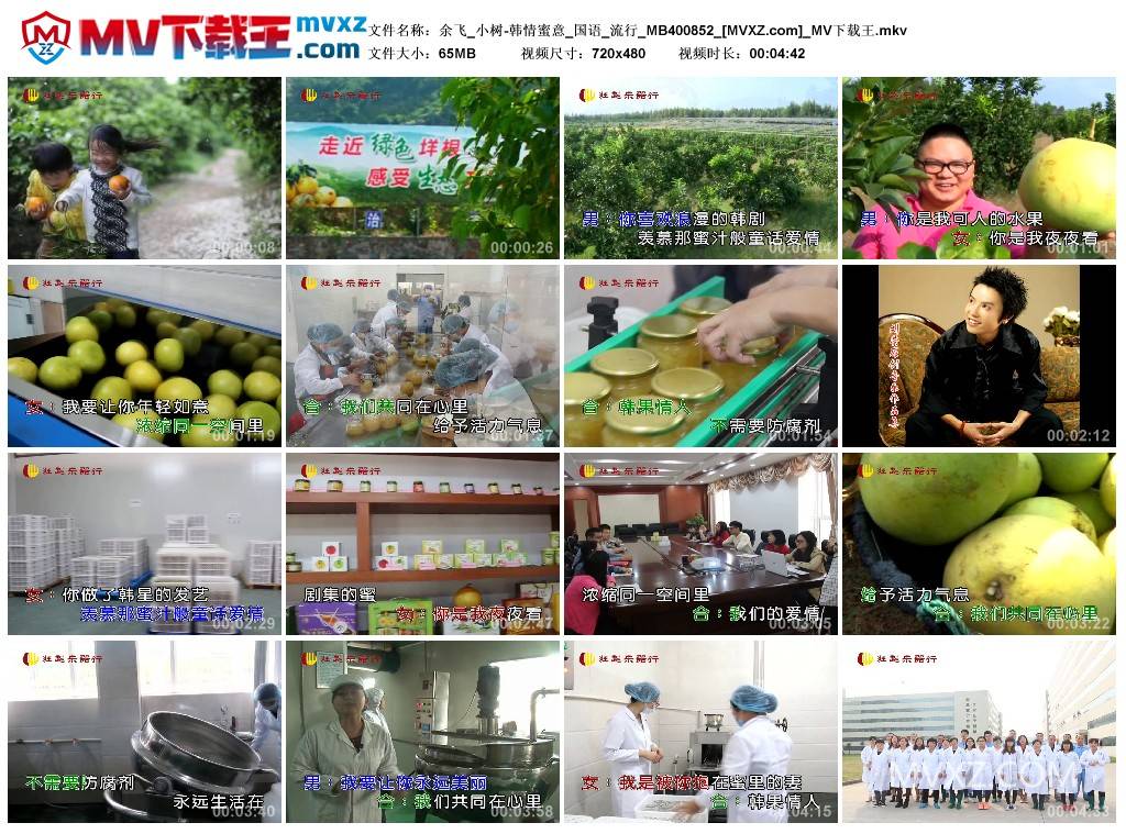 余飞_小树-韩情蜜意_国语_流行_MB400852